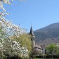 L'église 2008