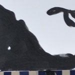 Les Virades de L Espoir 39