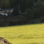 Les Vieilles Pierres de Saint Cergues 55