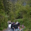 Chasse aux oeufs 2014