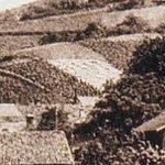 Le Village du Bois 4