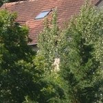 Les Vieilles Pierres de Saint Cergues 15