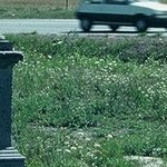 La Croix de Chandouze 4