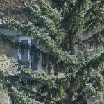 Les Vieilles Pierres de Saint Cergues 31