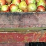 Fête de la Maude 17