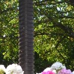 Les Vieilles Pierres de Saint Cergues 37