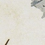 L'Hôtel de Montauban 16