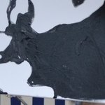 Les Virades de L Espoir 40