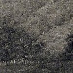 La Pension Les Cerisiers 9