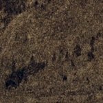 La Pension Bon Accueil 4