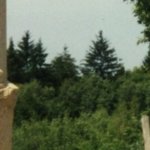 Monument des Bois Davaud 5