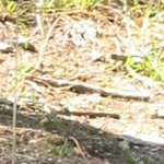 La Maison de la Servette 4