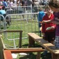 Fête de l'été 2012