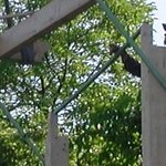 La Croix du Rosaire 3