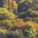 La Chapelle de Chermont 2