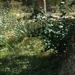 La Maison de la Servette 7