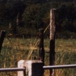 Monument des Bois Davaud 2
