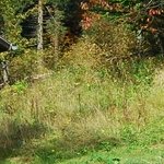 La Maison de la Servette 1