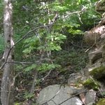 Les Vieilles Pierres de Saint Cergues 19