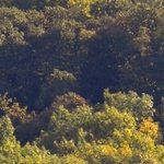 La Chapelle de Chermont 1