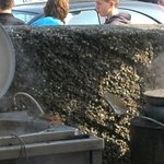 Fête de la Maude 15