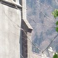 L'église 2008