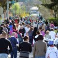 Carnaval 2012