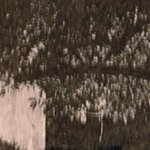 La Pension Les Cerisiers 13