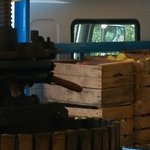 Fête de la Maude 19