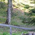 La Maison de la Servette 2