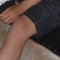 Fête des écoles 2014