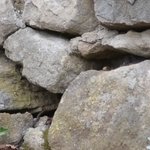 Les Vieilles Pierres de Saint Cergues 50