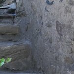 Les Vieilles Pierres de Saint Cergues 54