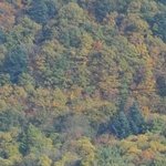 La Chapelle de Chermont 4