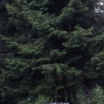 La Maison de la Servette