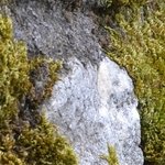 Les Vieilles Pierres de Saint Cergues 49