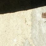 La Maison de la Servette 1