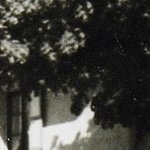 La Pension Les Tilleuls 2