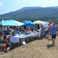 Fête de l'été 2015
