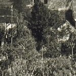 Le Village du Bois 1