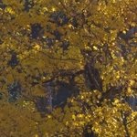 La Maison de la Servette 4