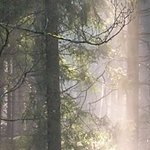 La Maison de la Servette 2