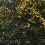 La Chapelle de Chermont 2