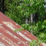 La Maison de la Servette 6