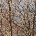 La Chapelle de Chermont 3