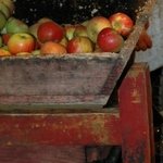 Fête de la Maude 19