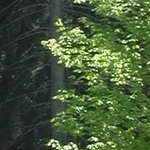 La Maison de la Servette 1