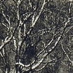 L'Hôtel de Montauban 14