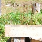 La Maison de la Servette 2