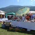 Fête de l'été 2013